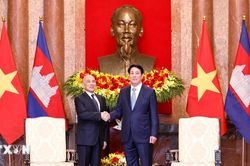 Chủ tịch nước Lương Cường và Quốc vương Campuchia Norodom Sihamoni hội kiến