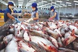 Xuất khẩu thủy sản tự tin với mục tiêu 10 tỷ USD, đơn hàng từ Mỹ dồn dập cuối năm
