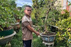 Bắt đối tượng trộm cắp cây cảnh tại Mang Yang