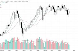 Bảo hiểm và Công nghệ bùng nổ, VN-Index trở lại mốc 1.250 điểm