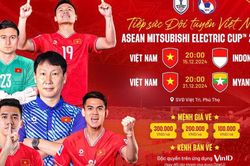 Bất ngờ giá vé xem đội tuyển Việt Nam đá AFF Cup