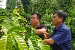 Vinh danh 100 doanh nghiệp tạo dựng 'di sản xanh'