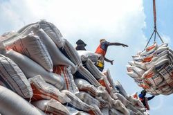 Kỳ vọng khôi phục xuất khẩu gạo vào Trung Quốc