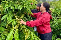 Tăng khả năng tiếp cận vốn cho nông hội