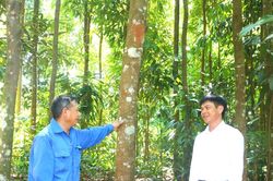 Tròn việc Đảng, trọn việc dân