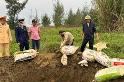 Thu giữ và tiêu hủy 2 tấn thực phẩm bẩn