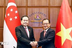 Chủ tịch Quốc hội Trần Thanh Mẫn hội đàm với Chủ tịch Quốc hội Singapore
