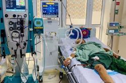 Hà Nội: Chỉ vài giờ sau khi mổ lợn chết, người đàn ông sốt rét rồi sốc nguy kịch