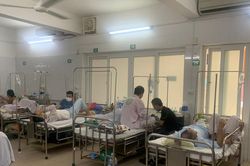 Vì sao số ca sốt xuất huyết gia tăng nhanh thời gian gần đây?