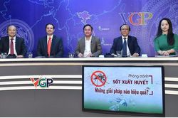 Tìm các giải pháp phòng, chống bệnh sốt xuất huyết hiệu quả