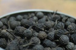 Giá tiêu hôm nay 3/12/2024: Giá tiêu tăng nhẹ tại Gia Lai