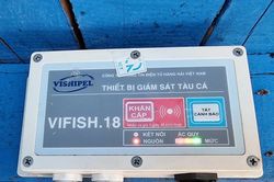 Thanh Hóa và Quảng Trị quyết liệt chống khai thác hải sản bất hợp pháp IUU
