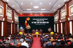 Kỳ họp thứ 26, HĐND tỉnh khóa XV: Tiến hành thảo luận tại tổ