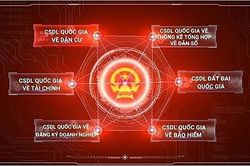 Hà Nội: Triển khai kế hoạch Đề án 06 năm 2025, khen thưởng thành tích xuất sắc năm 2024