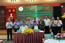 Ngành cao-su chủ động thích ứng quy định chống phá rừng của Liên minh châu Âu