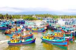 Nỗ lực chống khai thác IUU, gỡ cảnh báo 'thẻ vàng' EC