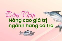 Đồng Tháp: Nâng cao giá trị ngành hàng cá tra