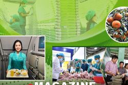 Đưa công nghệ sinh học vào ứng phó biến đổi khí hậu: Yêu cầu bức thiết