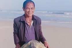 Cứu hộ và thả rùa xanh bị mắc lưới về biển