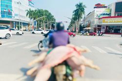 Cần siết chặt hoạt động vận chuyển thịt lợn sau giết mổ
