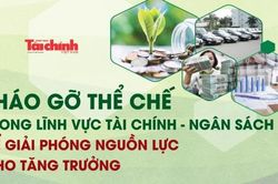 Tháo gỡ thể chế trong lĩnh vực tài chính - ngân sách để giải phóng nguồn lực cho tăng trưởng