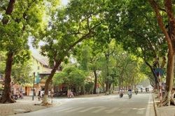 Thời tiết ngày 5/12/2024: Hà Nội không mưa, trưa chiều nắng