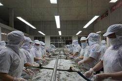Điểm sáng trong phát triển kinh tế Bình Định năm 2024