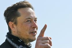 Elon Musk: 'Singapore đang dần tuyệt chủng'