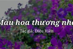 Tản văn hay: Màu hoa thương nhớ