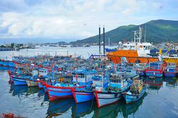 Ngư dân 'đi thưa, về trình'