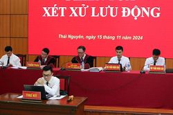 Tạo mọi điều kiện để luật sư hoạt động, phát triển