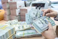 Tỷ giá hôm nay (7/12): Đồng USD thế giới tăng trở lại, 'chợ đen' giảm nhẹ