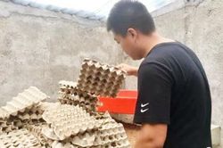 9X bỏ học đại học về nuôi loài kịch độc, mỗi năm thu 1 tỉ đồng