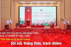 Sôi nổi, thẳng thắn, trách nhiệm