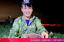 Soi đèn đi 'săn' rươi ở Nghi Xuân