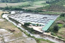 Đắk Lắk: Doanh nghiệp chặn suối nuôi cá tầm 'hứa' khoan giếng cho dân rồi… 'lãng quên'?