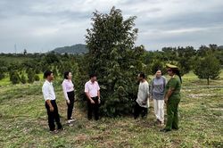 Bài 2: Đồng vốn nhỏ vun đắp hạnh phúc to