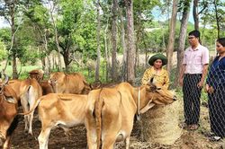 Tín dụng ưu đãi trên miền nắng gió (Bài 1)