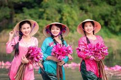 Nghệ sĩ Trà My mặc áo bà ba khoe sắc bên hoa súng ở Tam Cốc