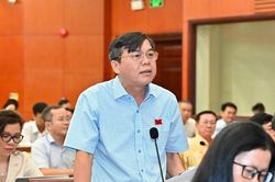 Đại biểu HĐND TPHCM chất vấn Giám đốc Sở VH-TT: Cử tri rất bức xúc với 2 dự án thể dục thể thao của thành phố