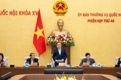 Tháng 2/2025 sẽ họp Quốc hội để xem xét sửa đổi các luật liên quan đến tổ chức tinh gọn bộ máy