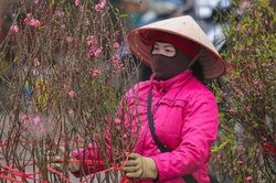 Thời tiết 3 miền Bắc -Trung - Nam dịp Tết Nguyên Đán 2025 thế nào?