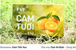 Soi CV ấn tượng của Cam tươi FVF: Dòng cam đặc sản ai ai cũng muốn tuyển về