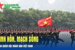 Linh hồn, mạch sống của Quân đội nhân dân Việt Nam