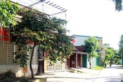 Hàng chục hộ dân ở TP. Vinh khổ sở vì 'nhà không số, phố không tên'