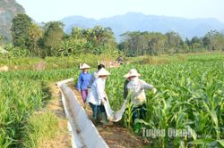 Trên 998 tỷ đồng hỗ trợ sản xuất đồng bào dân tộc Tuyên Quang
