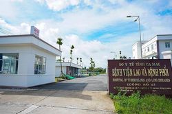 Cà Mau: Chấm dứt hợp đồng với Công ty TNHH Công Minh Cây Xanh