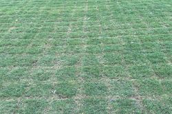 Sân Mỹ Đình xuống cấp nghiêm trọng sau sự kiện âm nhạc
