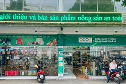 Quảng bá thương hiệu nông sản: Đẩy mạnh chứng nhận sản phẩm OCOP, xác nhận chuỗi an toàn