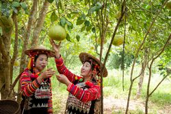 Người Hà Nhì gìn giữ văn hóa truyền thống
